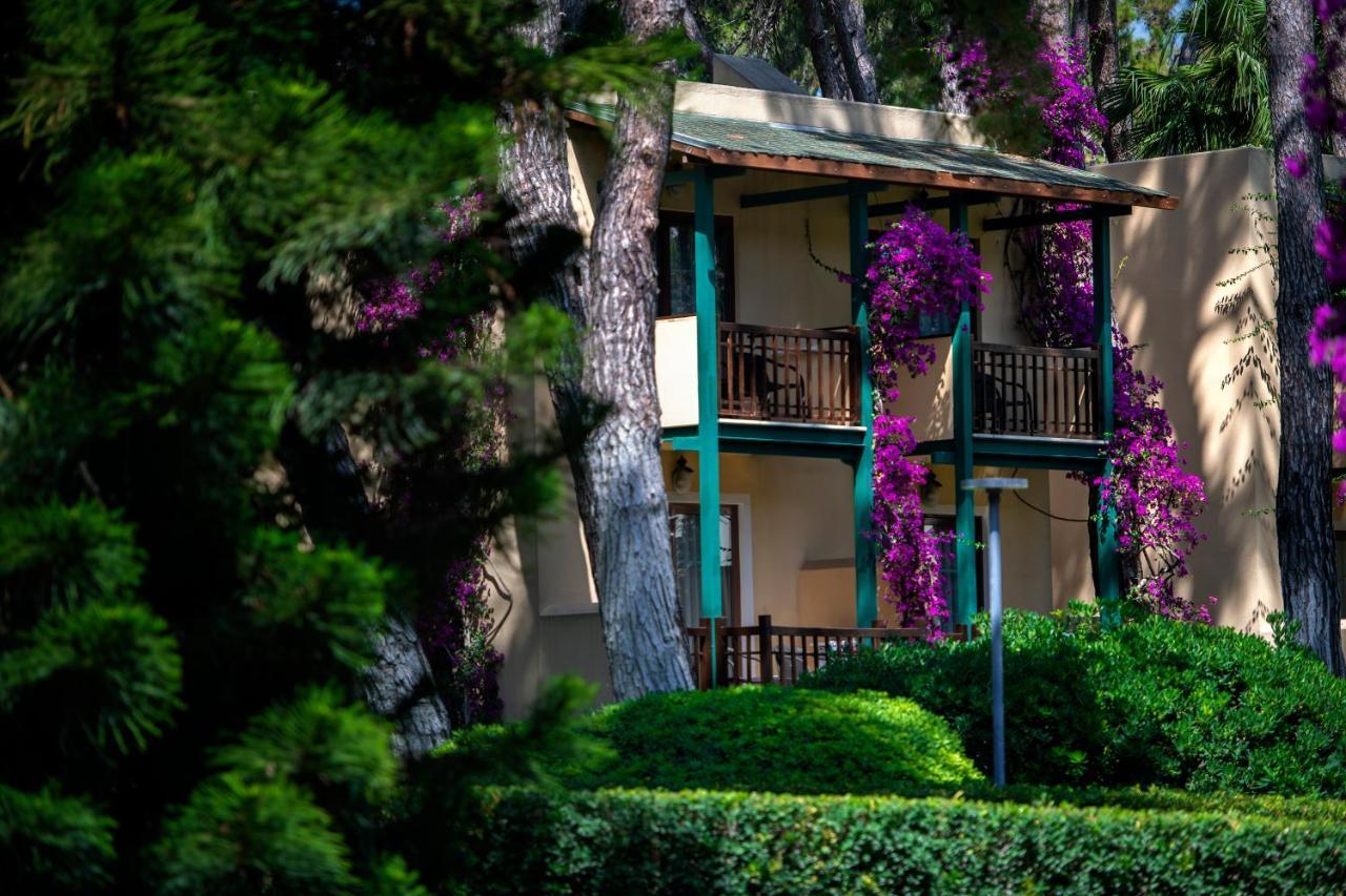 סייד Turquoise Hotel מראה חיצוני תמונה