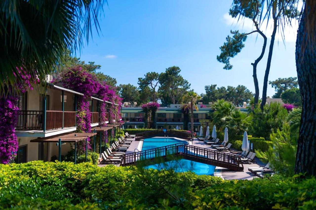 סייד Turquoise Hotel מראה חיצוני תמונה