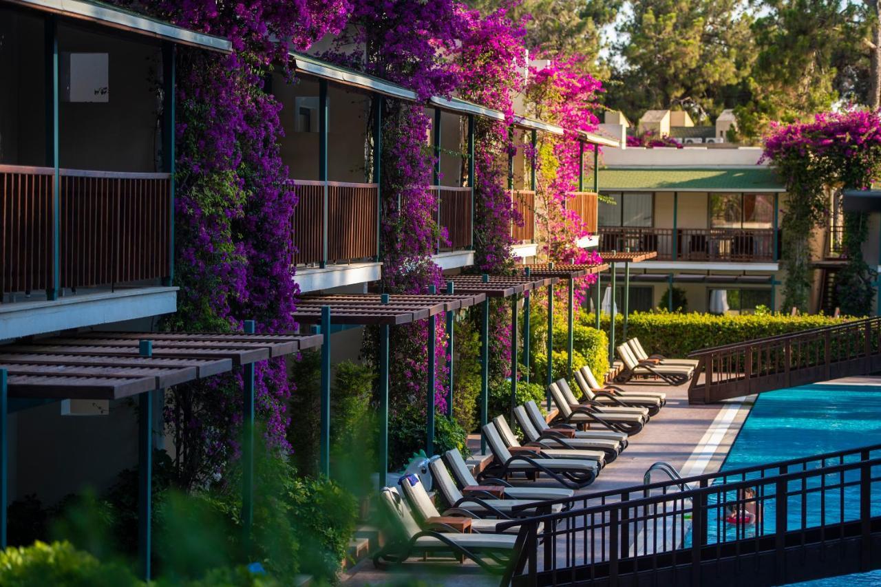 סייד Turquoise Hotel מראה חיצוני תמונה